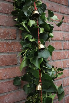 bellenkoord  vijf bellen